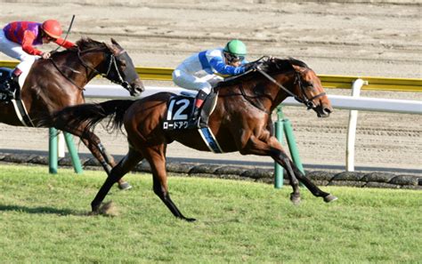 ロードカナロアとサンデー系配合 毎日が一口馬主！