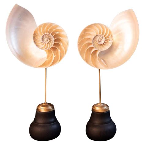 Antique And Vintage Nautical Objects 588 For Sale At 1stdibs