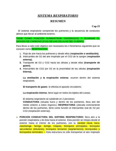 Sistema Respiratorio Resumen Biolog Almz The Best Porn Website