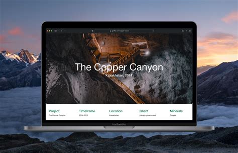 Geoflex — Website Design :: Behance