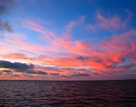 11 Top Auckland Wildlife Viewing Tours & Trips for 2025-2026