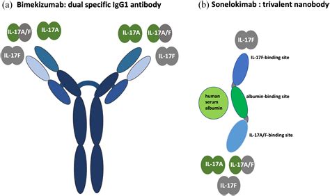 Dual Inhibition Of Il 17a And Il 17f In Psoriatic Disease Helena Iznardo Lluís Puig 2021