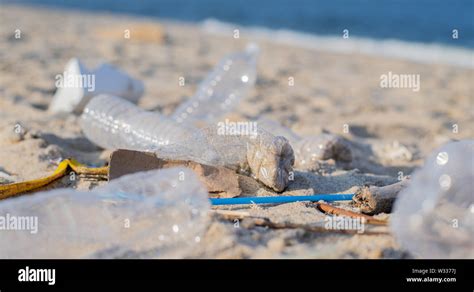 D Chets Et Les Bouteilles En Plastique Sur La Plage La Pollution De L