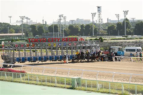 2021年11月19日（金） 大井競馬場は世界唯一の左右両回りコースへ！初となる左回りレースは第12競走（20時50分発走予定）に実施