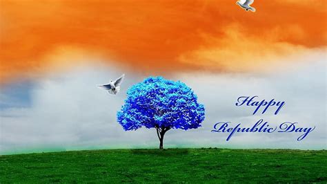 Indian Flag Colors With Flying Pigeon Republic Day HD Wallpaper Peakpx