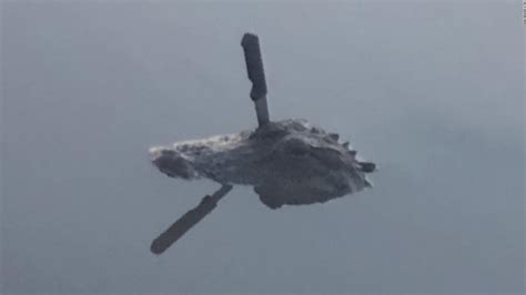 Texas Woman Spots Alligator With Knife In Its Head Cnn Video