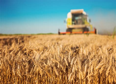 Como é o curso de Agronegócio