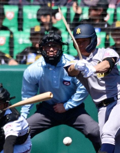 青森山田の選手の木製バット折れる 高校野球で珍場面 センバツ 毎日新聞