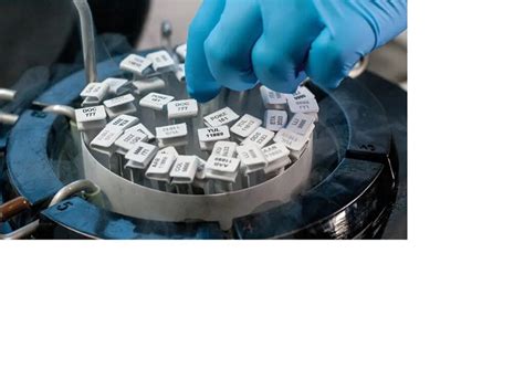 Cryogenic Labels – LabIVF Homepage – LabIVF
