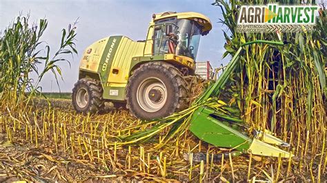 Chopping Corn With Krone Big X 1100 And Claas Xerion At Work On Silage