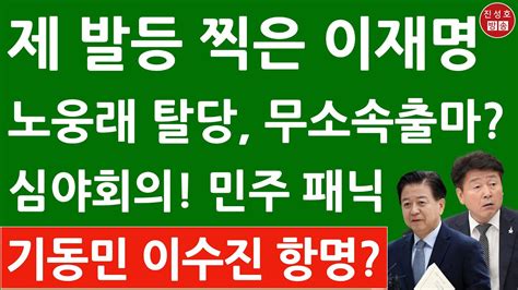 긴급 이재명 어제밤 심야회의서 충격행동 노웅래 기동민 이수진 대반란 진성호의 융단폭격 Youtube