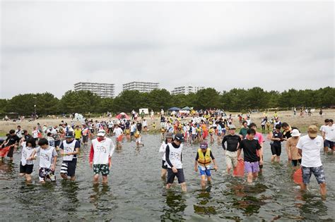 東京ガス（株）がアマモの花枝採取を実施しました。｜【東京湾umiプロジェクト】