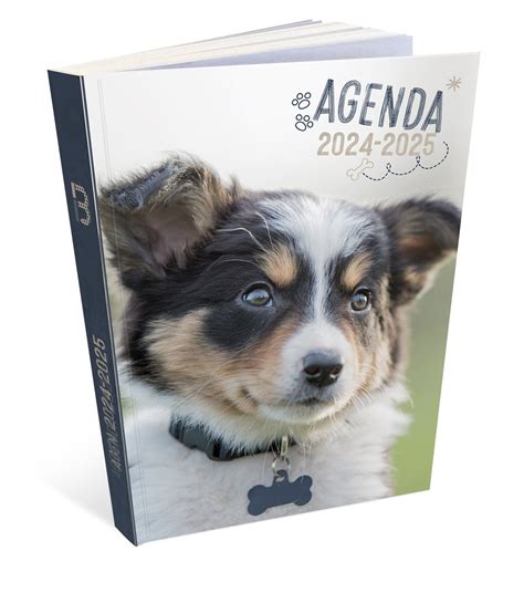 Agenda Scolaire Chien Broch X Cm Office Depot