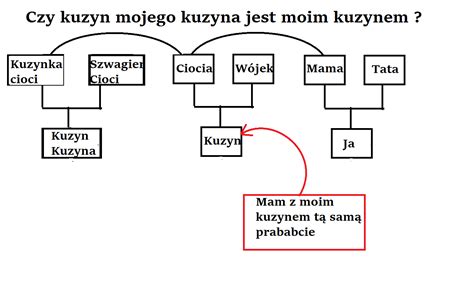 Czy Kuzyn Mojego Kuzyna Jest Też Moją Rodziną Kuzynem Zapytajonet