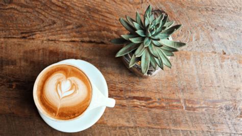 The 10 Best Coffee Shops in San Francisco: A Local Barista's Guide