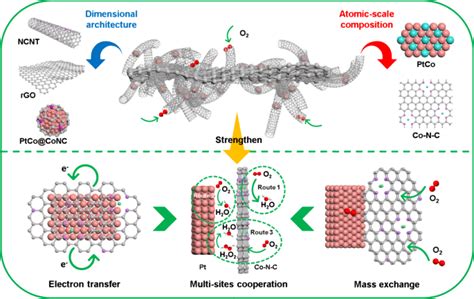 用于高效氧还原的集成铂 纳米碳电催化剂 Nature Communications X Mol