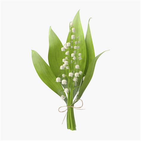 Lily Of The Valley Bouquet