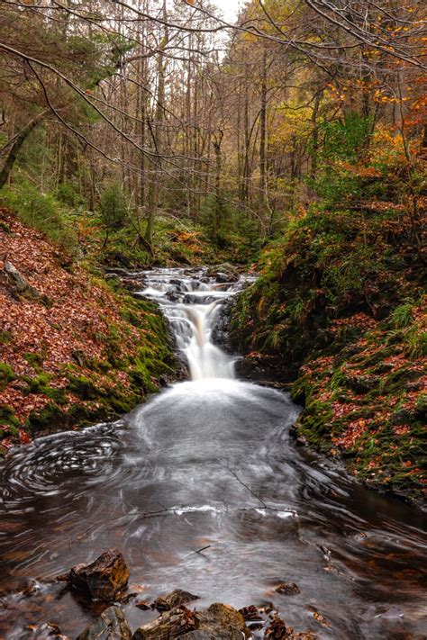 Hiking in the Belgian Ardennes: 11 most beautiful walks you must do