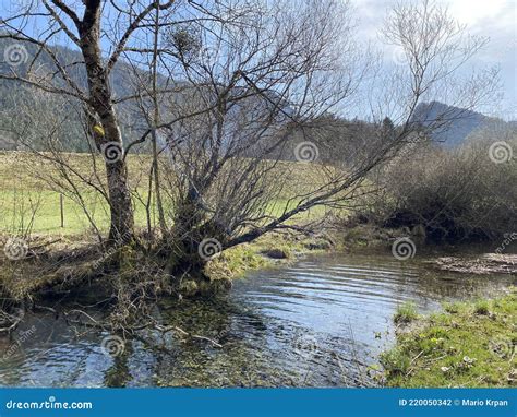 The Course Of The River Orbe Between The Cave Or Spring And The