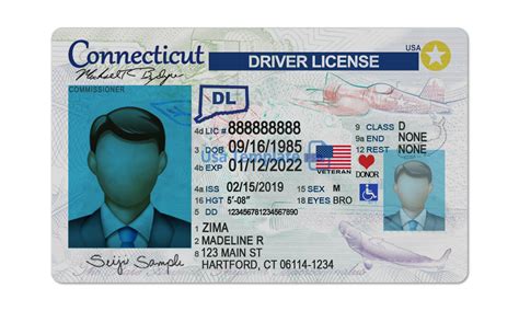 Free Download Usa Driver License Psd Template Nbvmbmono