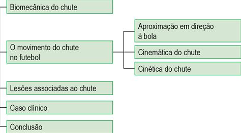 Biomec Nica Do Chute No Futebol Secad