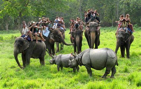 Chitwan Jungle Safari Tour 3 Days Package Cost 2024 2025