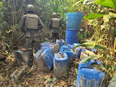 Aseguran plantación de coca en Patuca Extra Digital Honduras