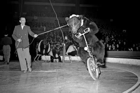 Circus Unicycle