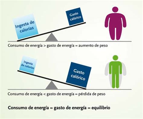 Gasto calórico diario Por qué el NEA es importante