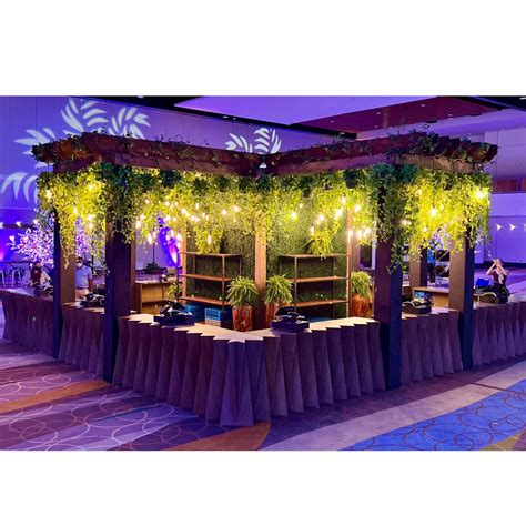 Center Bar Canopy 2 Event Effects Group