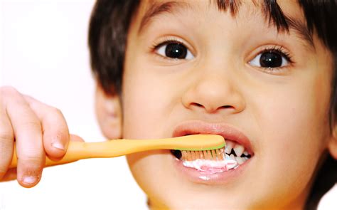 Brush My Teeth Homecare24