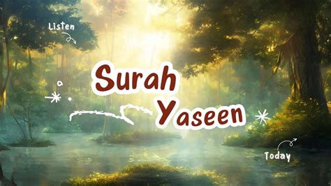 Surah Yasin Yaseen Lofi Yaseen Lofi Quran Original Video