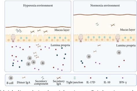 Figure From Mechanism Of Neonatal Intestinal Injury Induced By