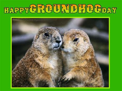 Groundhog Jokes And Quotes. QuotesGram