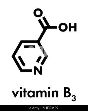 Vitamin B3 Nicotinamide Molecular Structure Vitamin B3 Nicotinamide