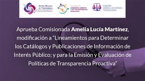 Aprueba Comisionada Amelia Lucía Martínez modificación a Lineamientos