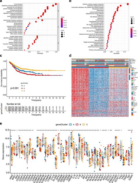 Identification Of Gene Subtypes Based On Degs A B Go And Kegg Download Scientific Diagram