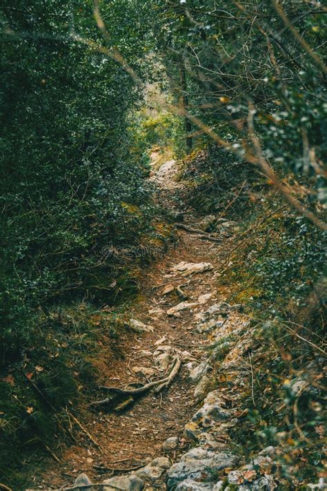 Path of Dirt and Stones in the Middle of the Mountain Stock Photo - Image of dark, adventure ...