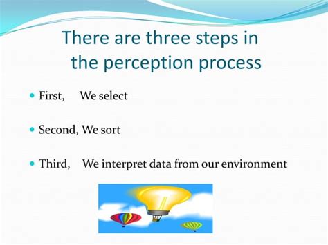 The Perception Process Ppsx