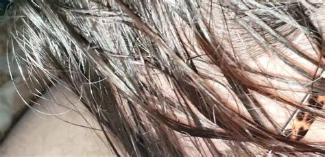 First Blowjob American Amateur Amateur Porn Xhamster