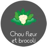 Autonomie Et Planification Au Potager Fiches L Gumes Gratuites