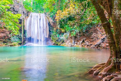 Air Terjun Dan Ikan Berenang Di Air Biru Zamrud Di Taman Nasional