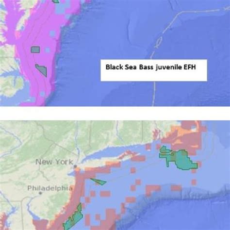 Distribution of Essential Fish Habitat (EFH) for ocean quahog (Arctica ...