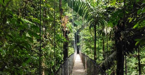 La Fortuna Hanging Bridges Waterfall And Arenal Volcano Trip Getyourguide