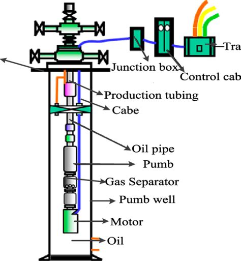 Schematic diagram of the ESP. | Download Scientific Diagram