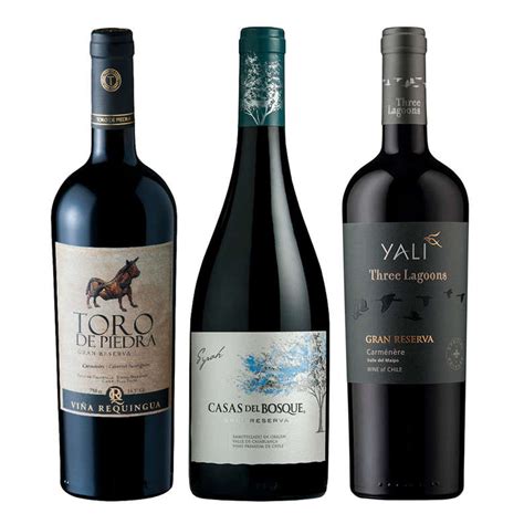 Booz Cl Pack Toro Cdb Three Lagoons Vino Toro De Piedra Carmenere