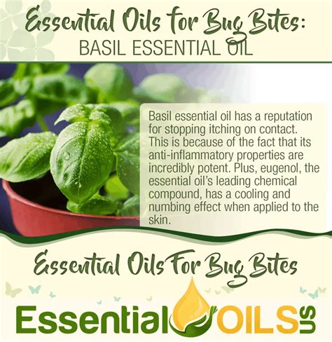 These Essential Oils Will Soothe Bug Bites Fast Essential Oils Us