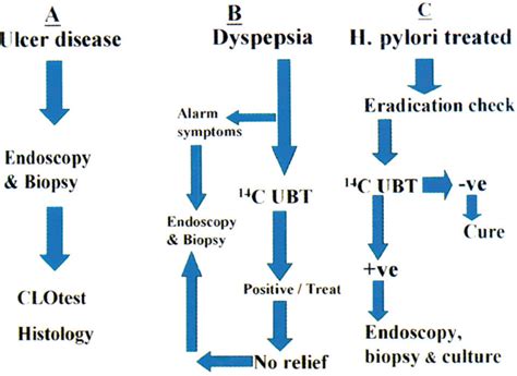 Helicobacter Pylori The Unique Organism Annals Of Saudi Medicine