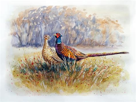 Pheasants By Csillabold On Deviantart