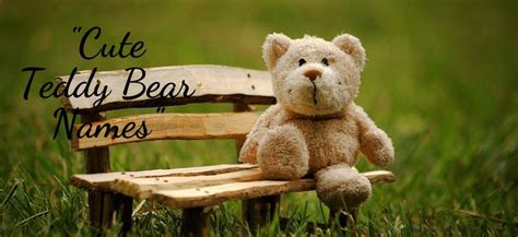 Cute Catchy Teddy Bear Names